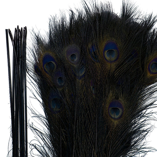 Peacock Tail Eyes Bleached Dyed - 25-40 Inch - 100 PCS - Black - Feathers