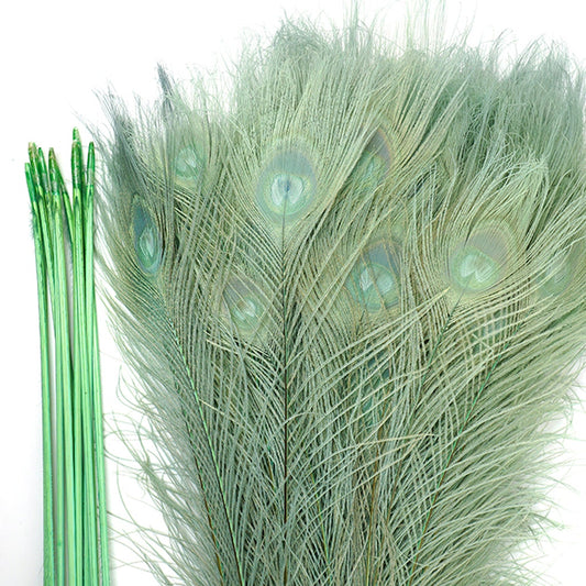 Peacock Tail Eyes Bleached Dyed - 25-40 Inch - 100 PCS - Celedon - Feathers