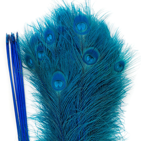 Peacock Tail Eyes Bleached Dyed - 25-40 Inch - 100 PCS - Dark Turquoise - Feathers