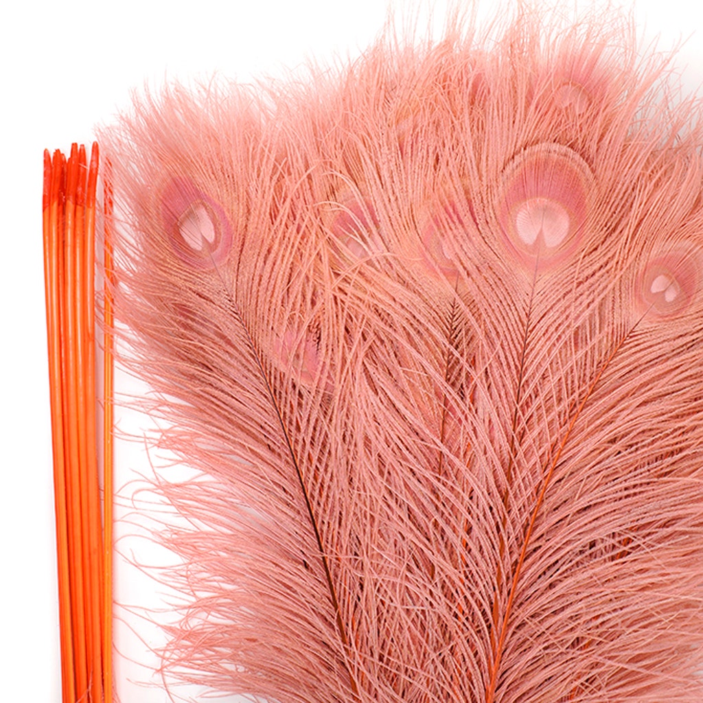 Peacock Tail Eyes Bleached Dyed Feathers - 25-40 Inch - 100 PCS - Coral - Feathers