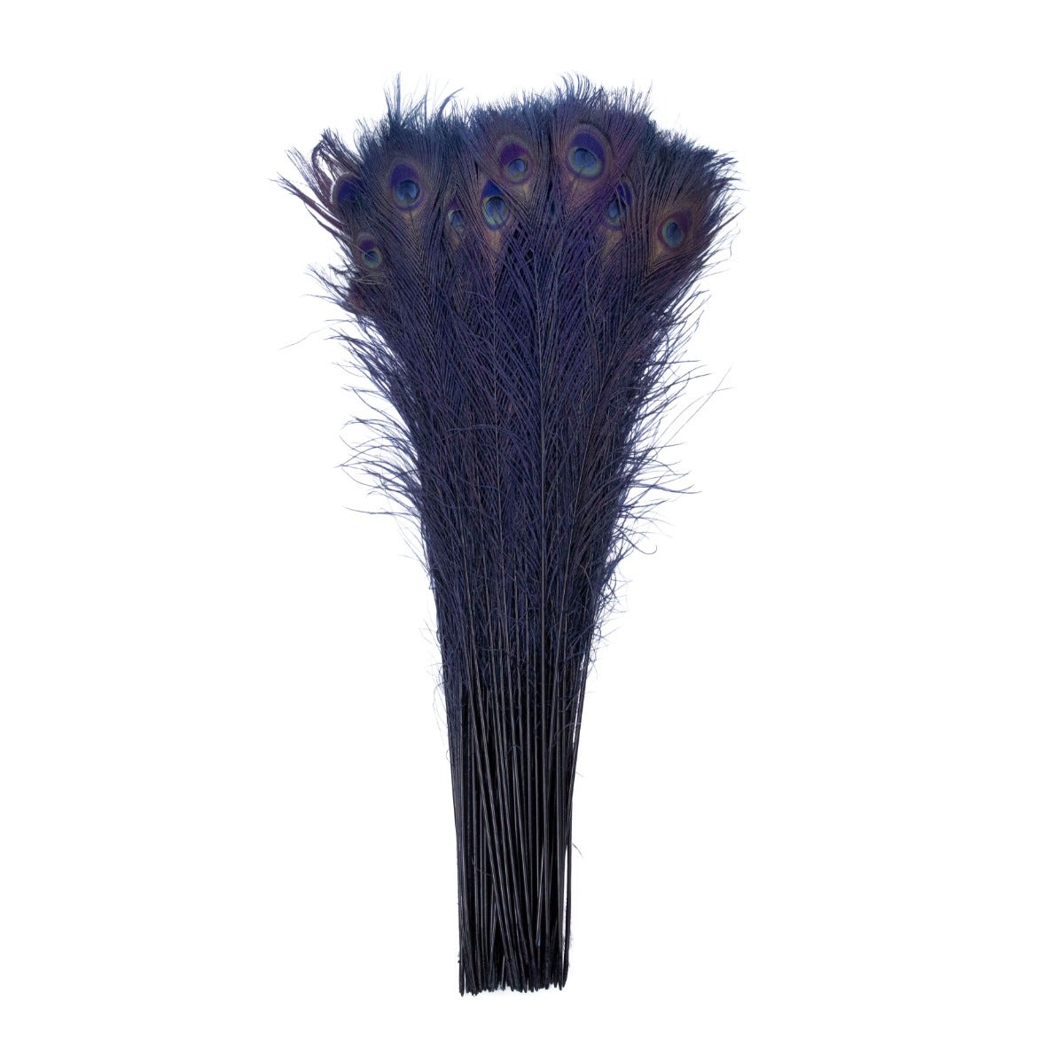 Peacock Tail Eyes Bleached Dyed Feathers - 25 - 40’’ -Navy - Feathers