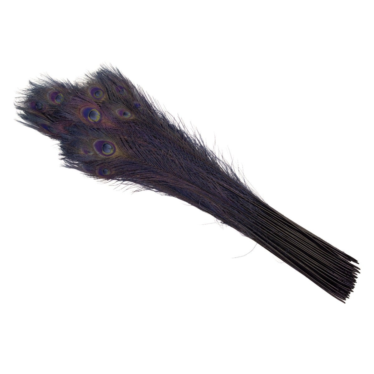 Peacock Tail Eyes Bleached Dyed Feathers - 25 - 40’’ -Navy - Feathers