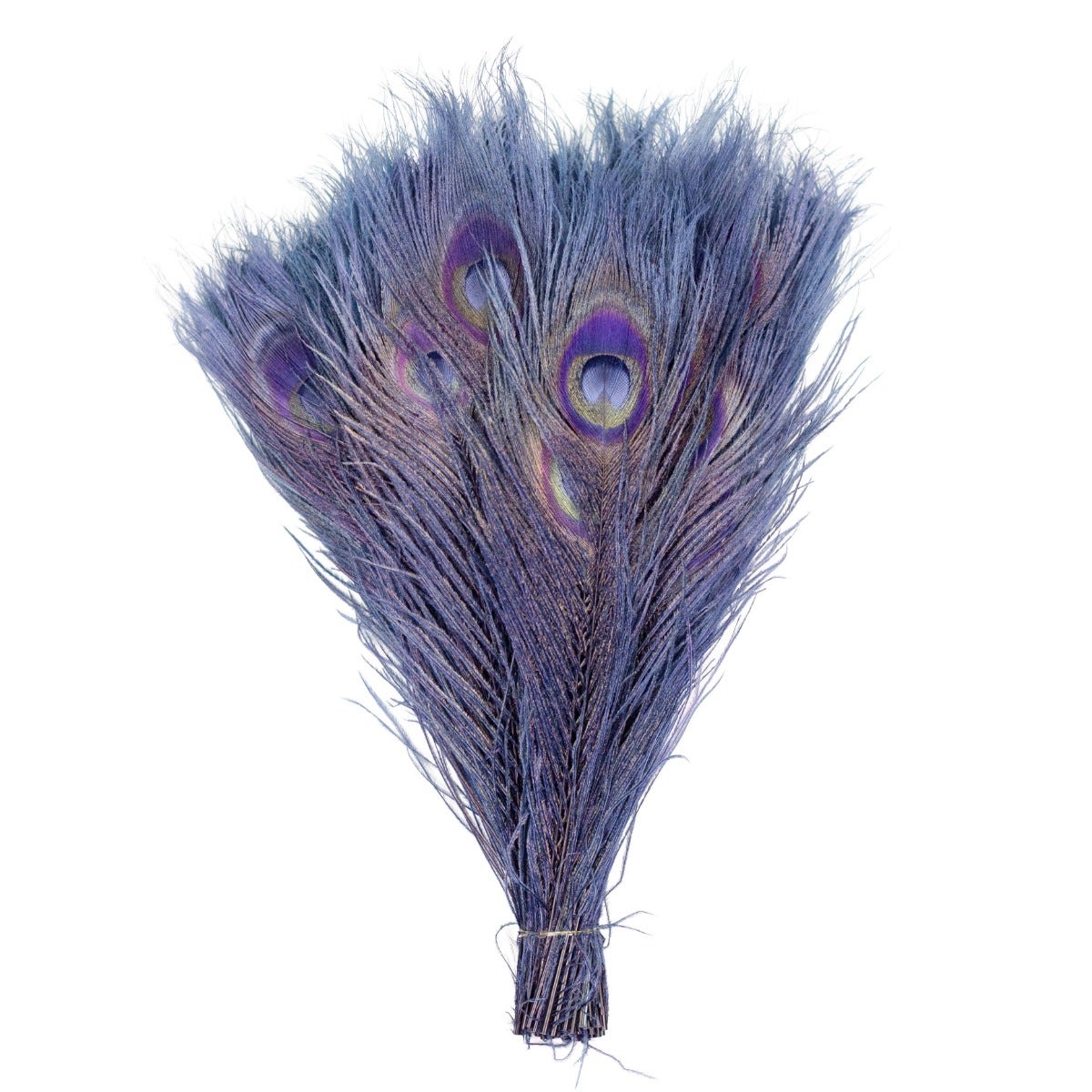 Peacock Tail Eyes Bleached Dyed Feathers - 8 -15’’- Navy - Feathers