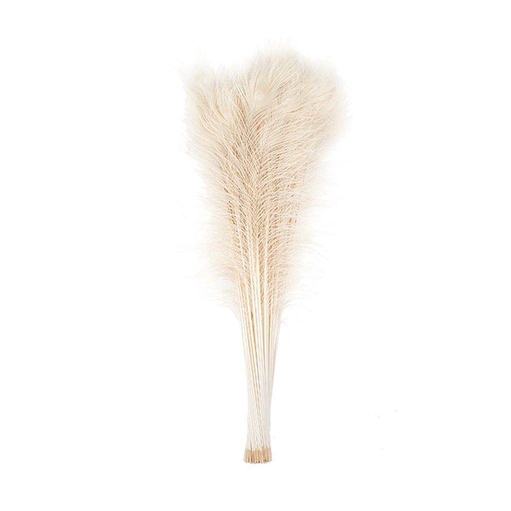 Peacock Tail Eyes Bleached Dyed - Ivory - 30 - 40’’ - Feathers