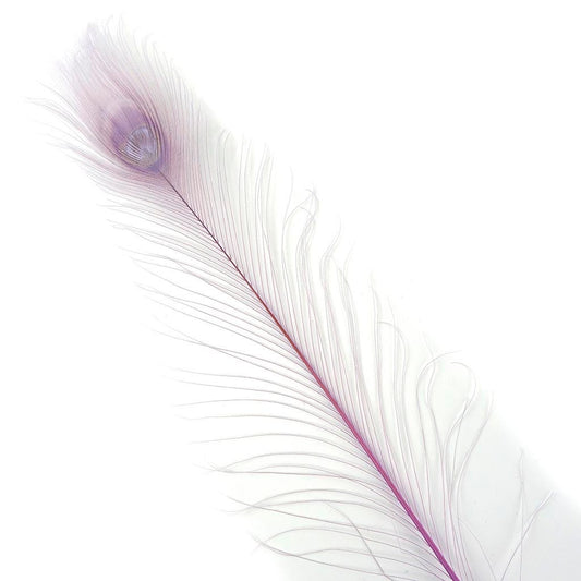 Peacock Tail Eyes Bleached Dyed - Orchid - Feathers