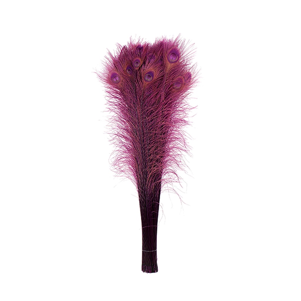 Peacock Tail Eyes Bleached Dyed - Purple - Feathers