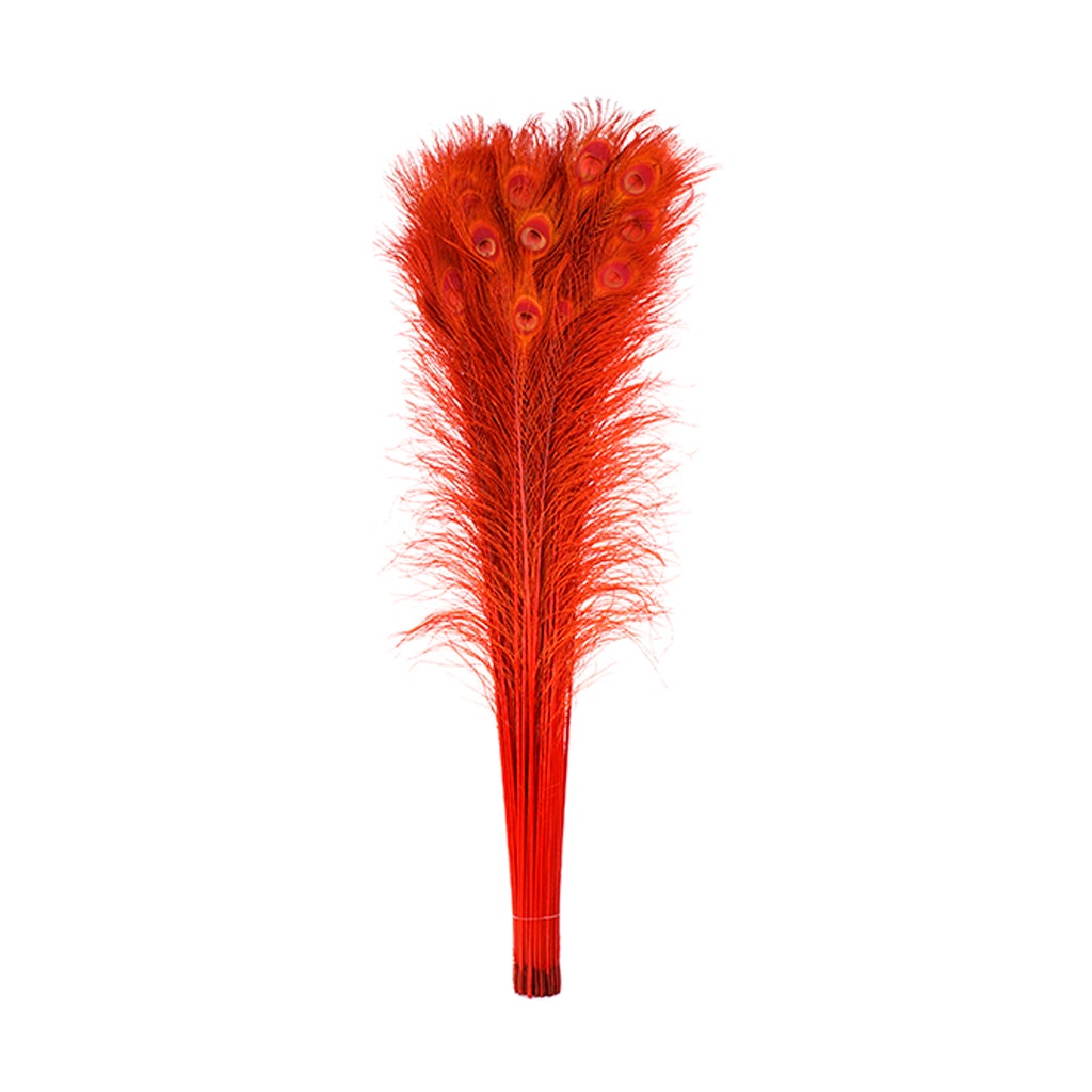 Peacock Tail Eyes Bleached Dyed - Red - Feathers