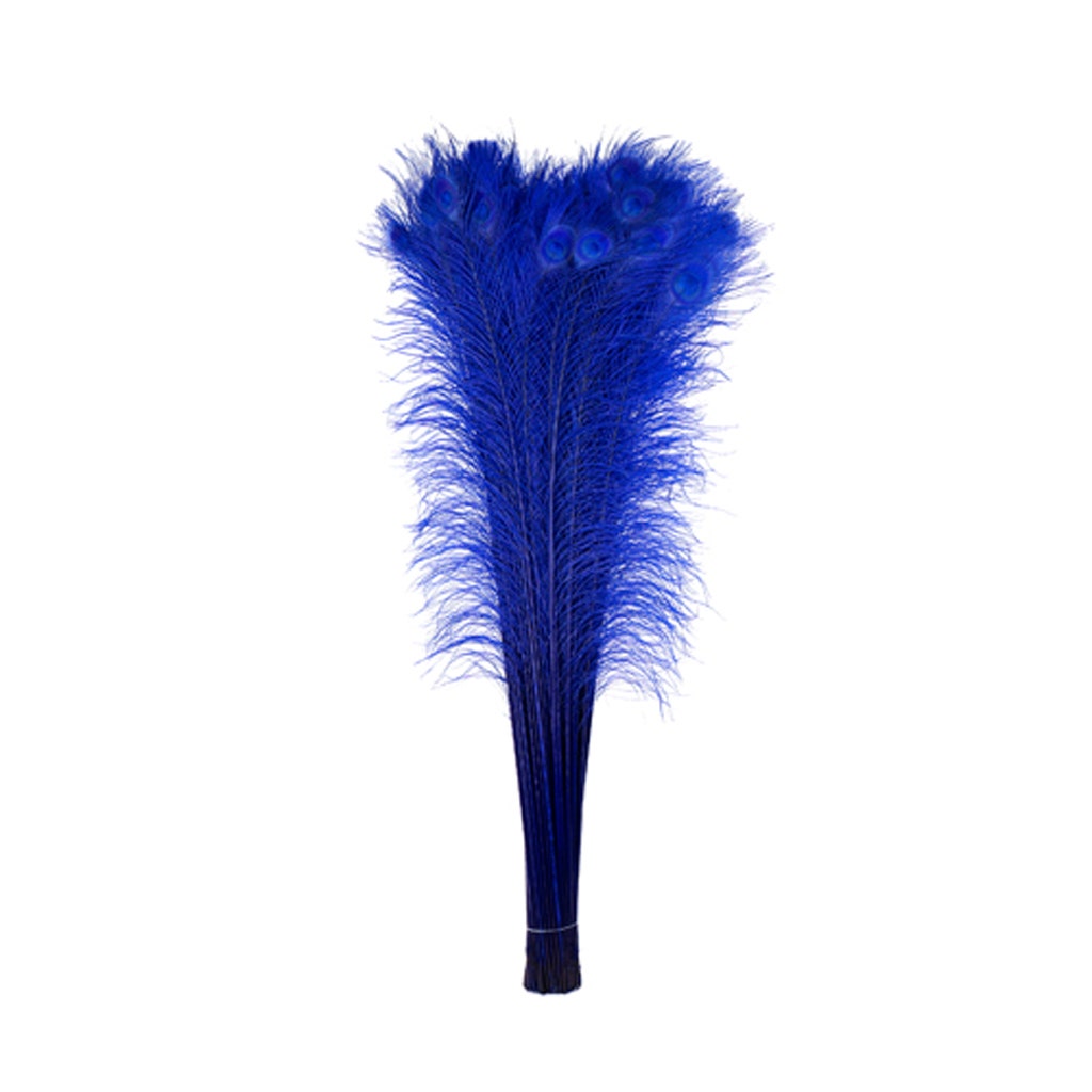 Peacock Tail Eyes Bleached Dyed - Royal - Feathers