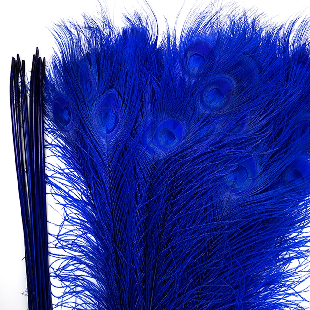 Peacock Tail Eyes Bleached Dyed - Royal - Feathers