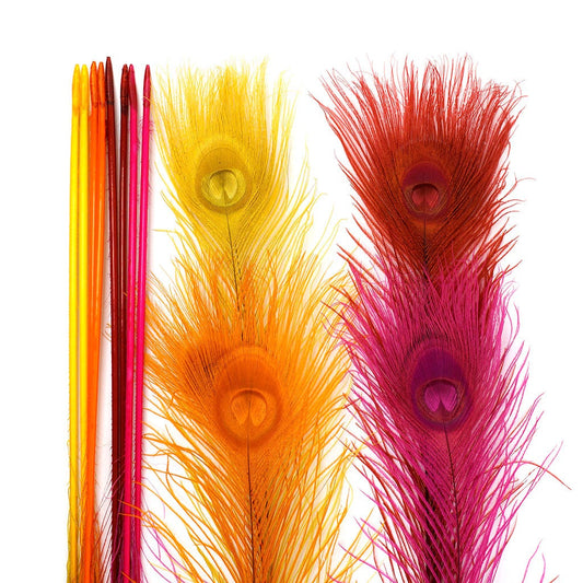 Peacock Tail Eyes Bleached Mix - Fiesta Mix - Feathers