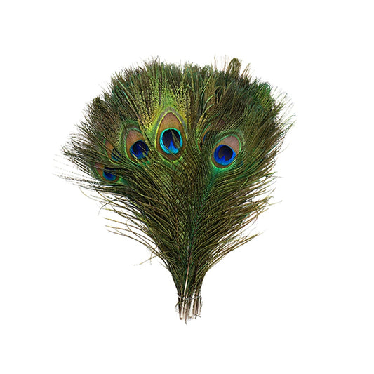 Peacock Tail Eyes Small and Large Natural - 8 -15’’ - Feathers