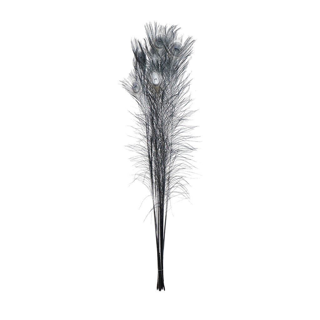 Peacock Tail Eyes Sprayed - Black/Silver Lurex - 30 - 40’’ - Feathers