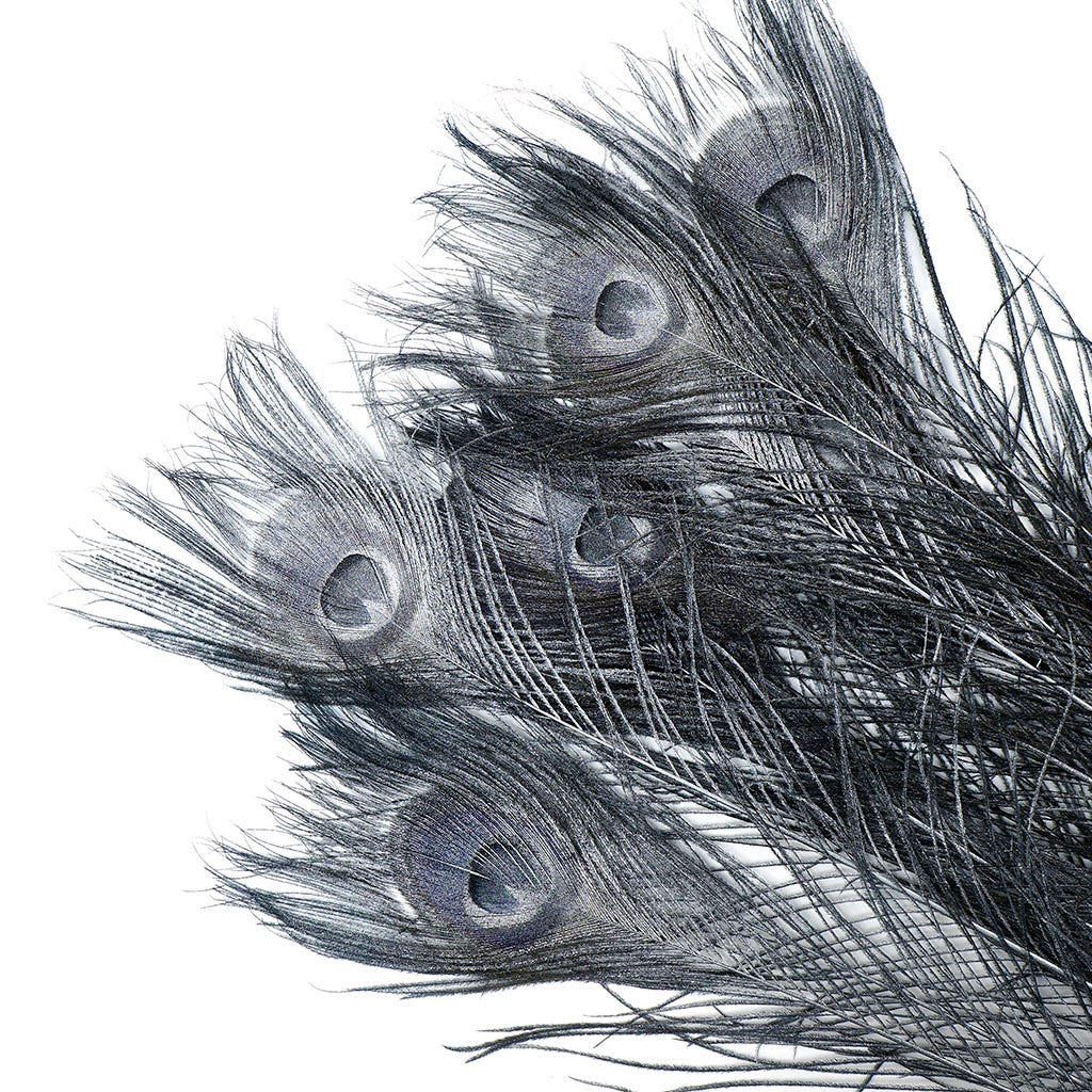 Peacock Tail Eyes Sprayed - Black/Silver Lurex - 30 - 40’’ - Feathers