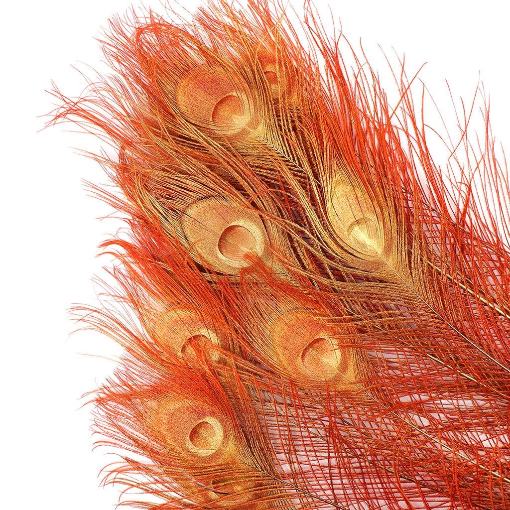 Peacock Tail Eyes Sprayed - Red/Gold - 30 - 40’’ - Feathers