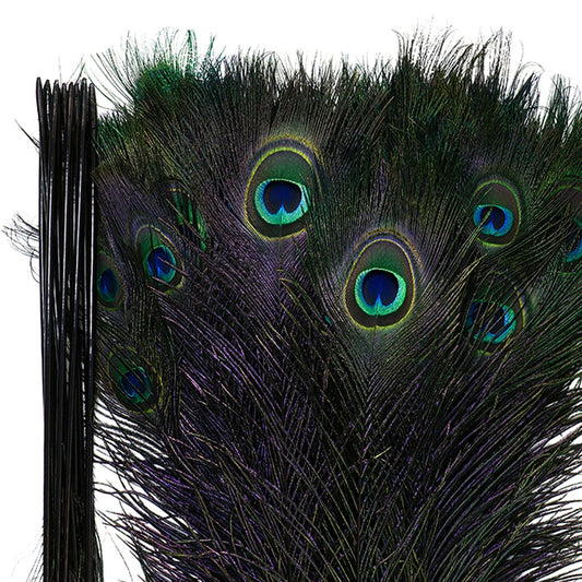 Peacock Tail Eyes Stem Dyed - 25-40 Inch - 100 PCS - Black - Feathers