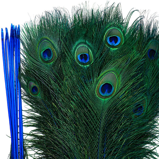 Peacock Tail Eyes Stem Dyed - 25-40 Inch - 100 PCS - Dark Turquoise - Feathers