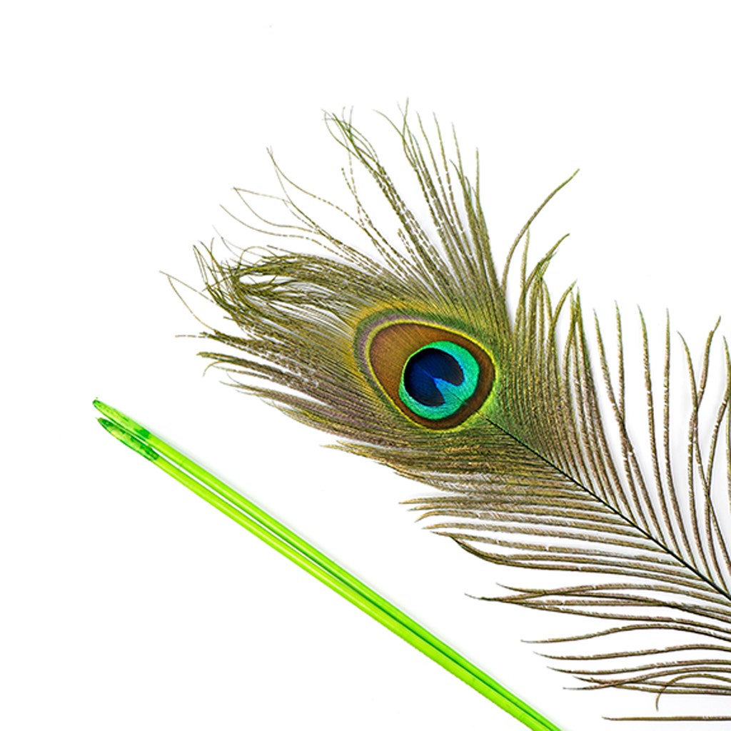 Peacock Tail Eyes Stem Dyed - 25-40 Inch - 100 PCS - Lime - Feathers