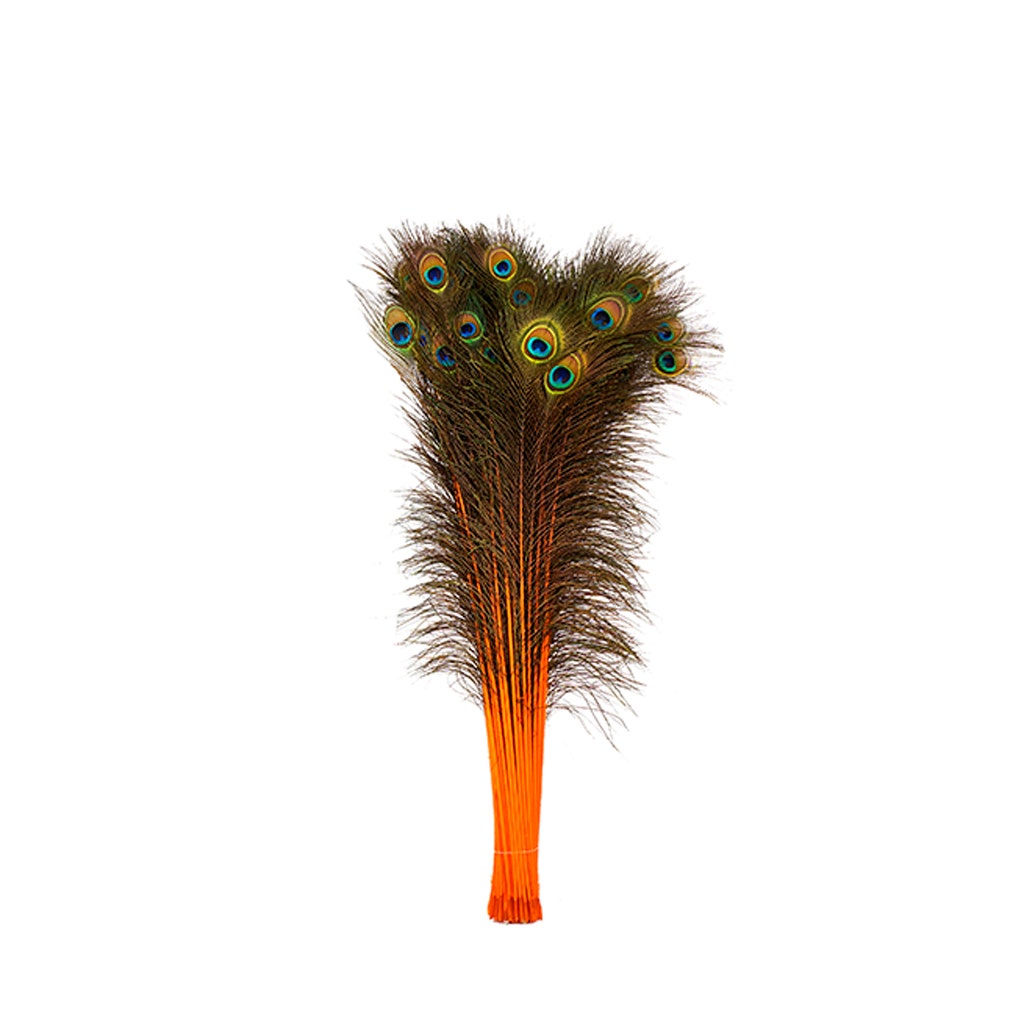 Peacock Tail Eyes Stem Dyed - 25-40 Inch - 100 PCS - Orange - Feathers