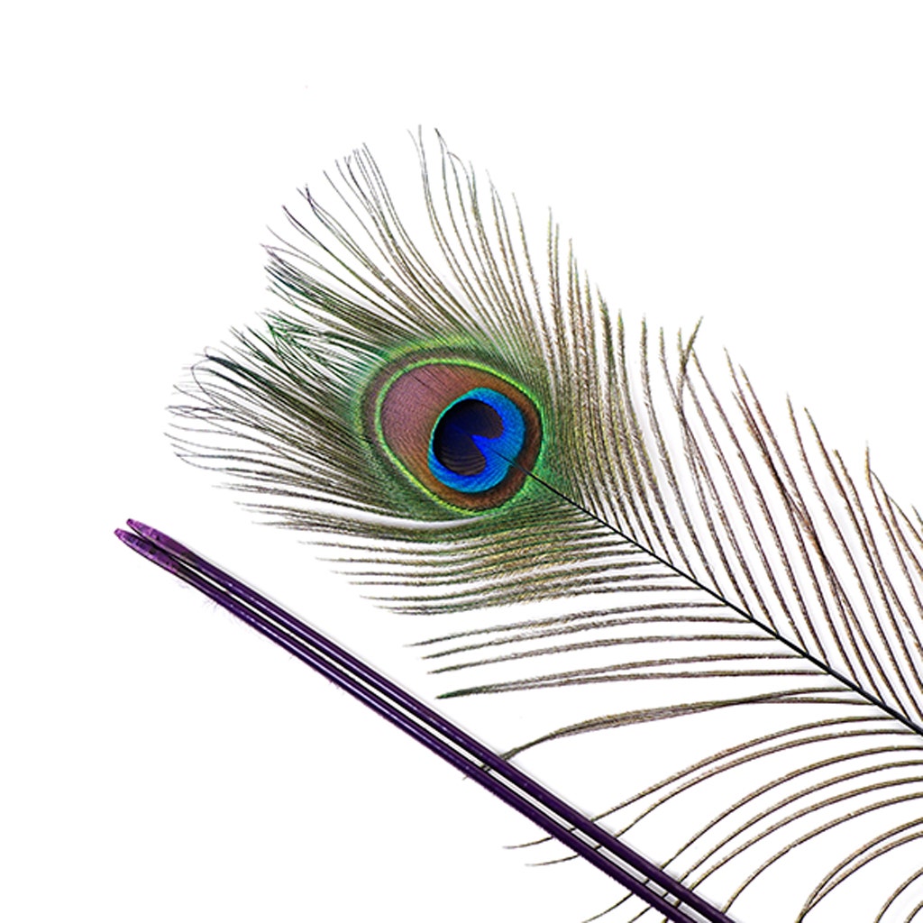 Peacock Tail Eyes Stem Dyed - 25-40 Inch - 100 PCS - Purple - Feathers