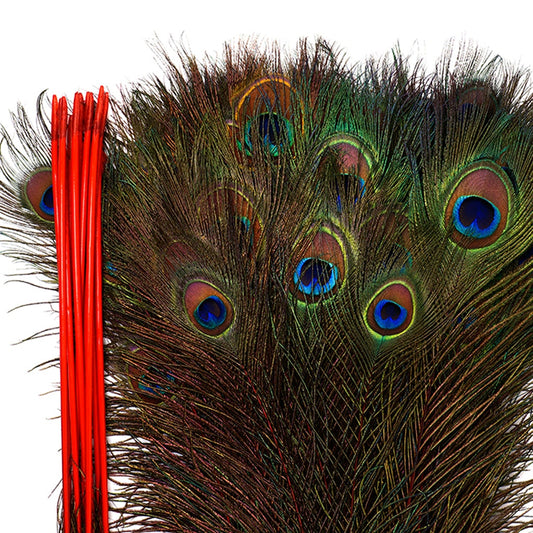 Peacock Tail Eyes Stem Dyed - 25-40 Inch - 100 PCS - Red - Feathers