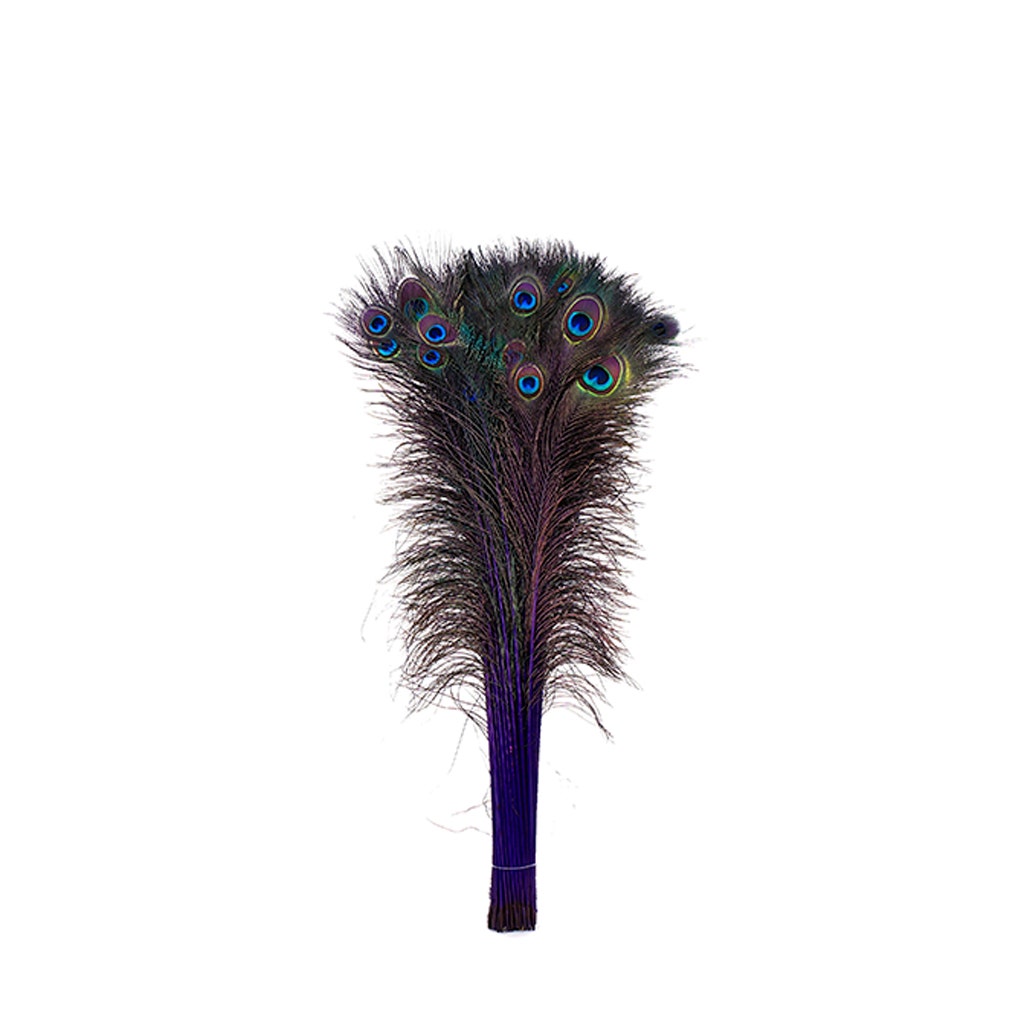 Peacock Tail Eyes Stem Dyed - 25-40 Inch - 100 PCS - Regal - Feathers