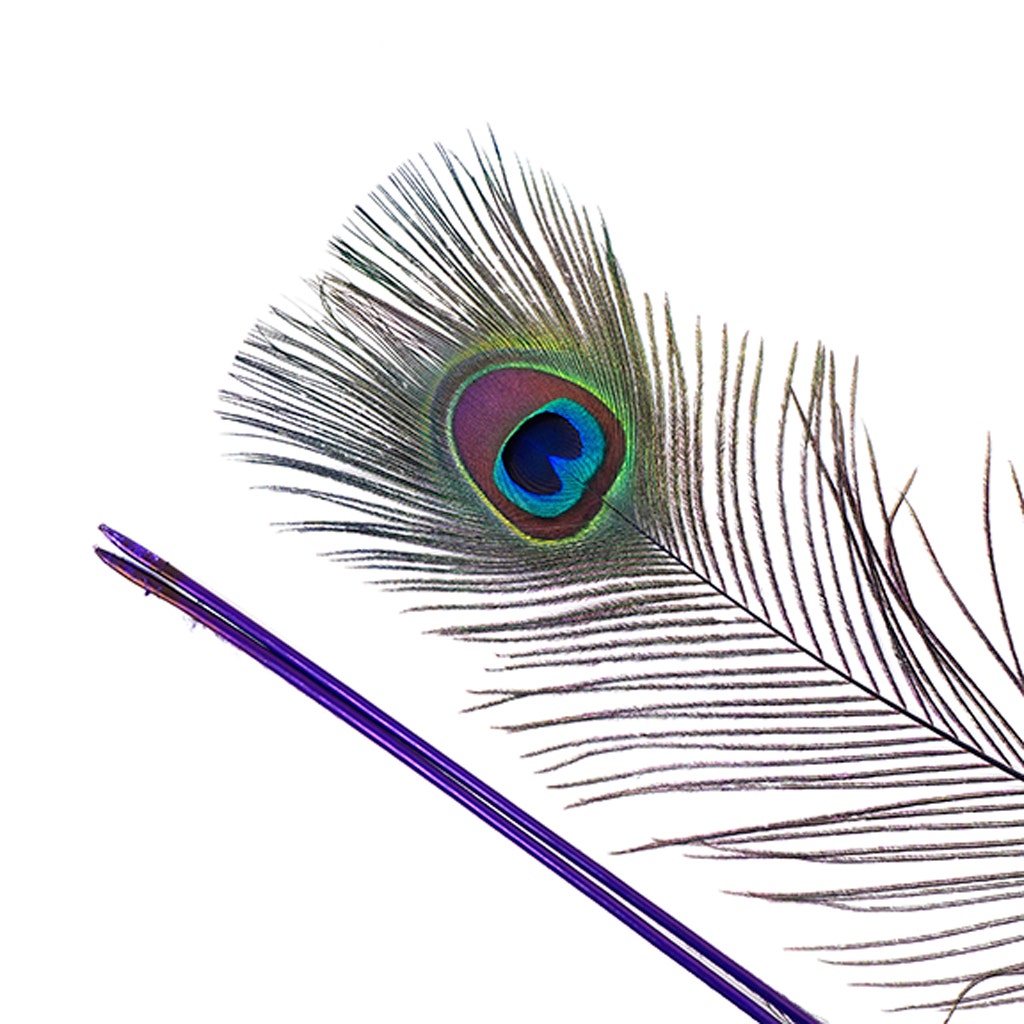 Peacock Tail Eyes Stem Dyed - 25-40 Inch - 100 PCS - Regal - Feathers