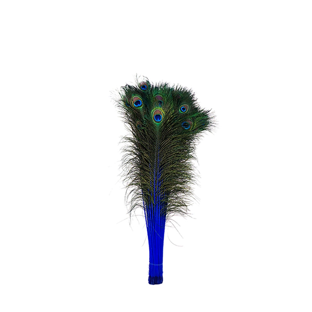 Peacock Tail Eyes Stem Dyed - 25-40 Inch - 100 PCS - Royal - Feathers