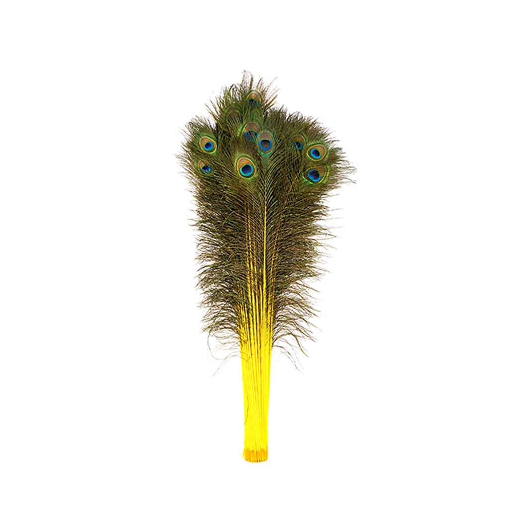 Peacock Tail Eyes Stem Dyed - 25-40 Inch - 100 PCS - Yellow - Feathers