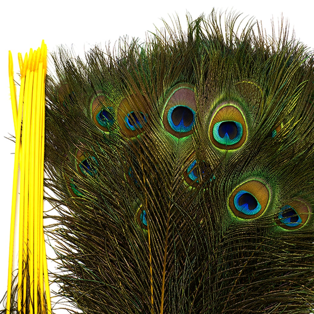 Peacock Tail Eyes Stem Dyed - 25-40 Inch - 100 PCS - Yellow - Feathers