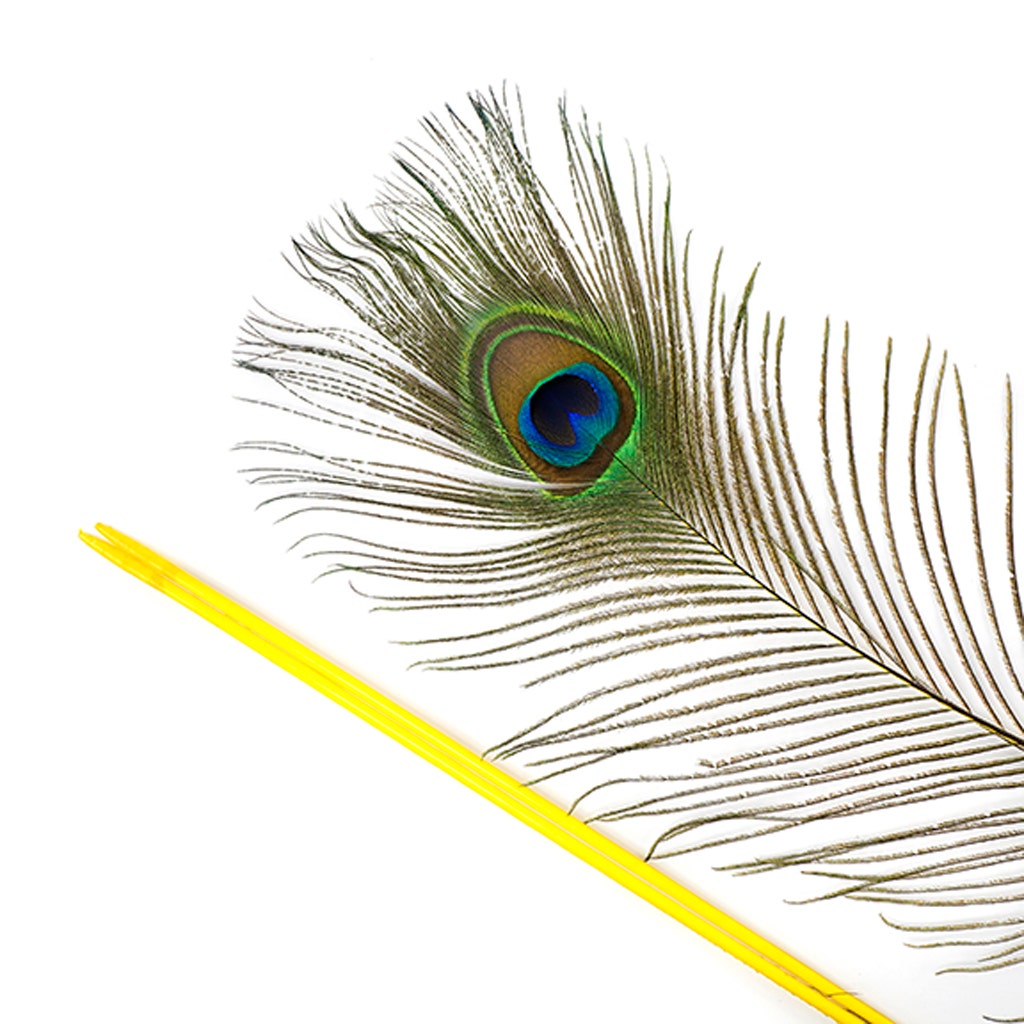 Peacock Tail Eyes Stem Dyed - 25-40 Inch - 100 PCS - Yellow - Feathers