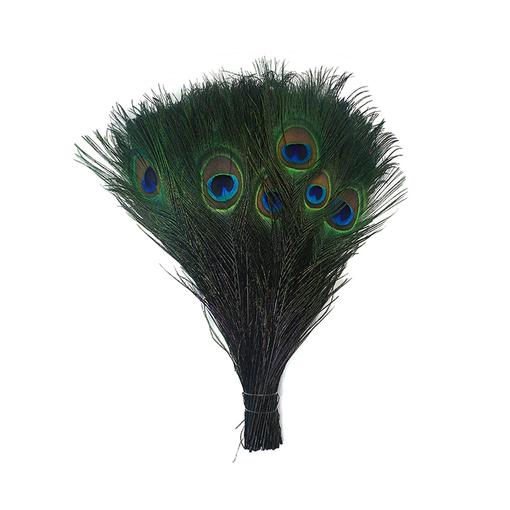 Peacock Tail Eyes Stem Dyed - Black - Feathers