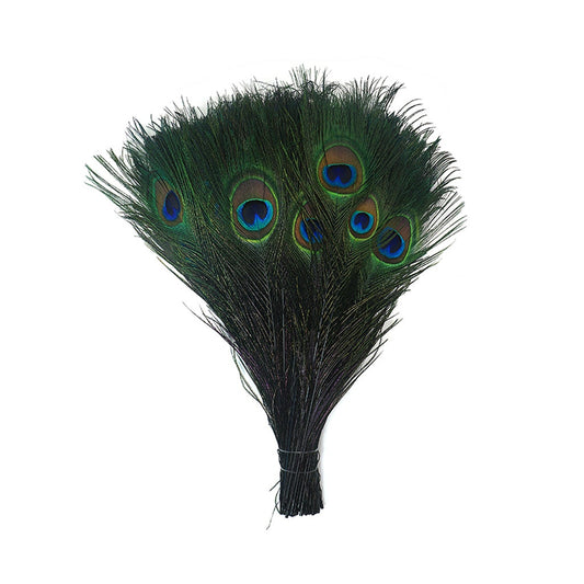 Peacock Tail Eyes Stem Dyed - Black - Feathers