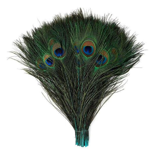 Peacock Tail Eyes Stem Dyed Light Turquoise - Feathers