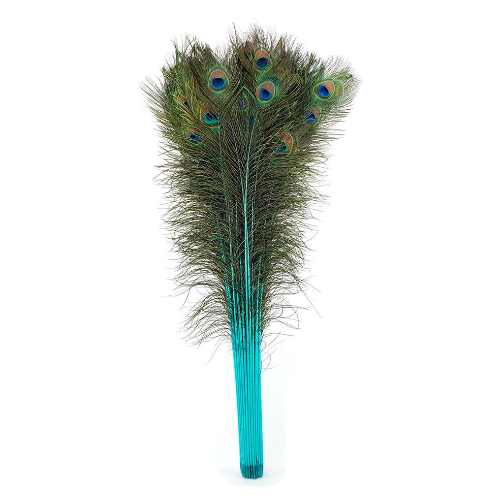 Peacock Tail Eyes Stem Dyed - Light Turquoise - Feathers