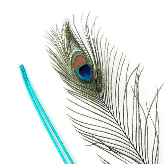 Peacock Tail Eyes Stem Dyed - Light Turquoise - Feathers