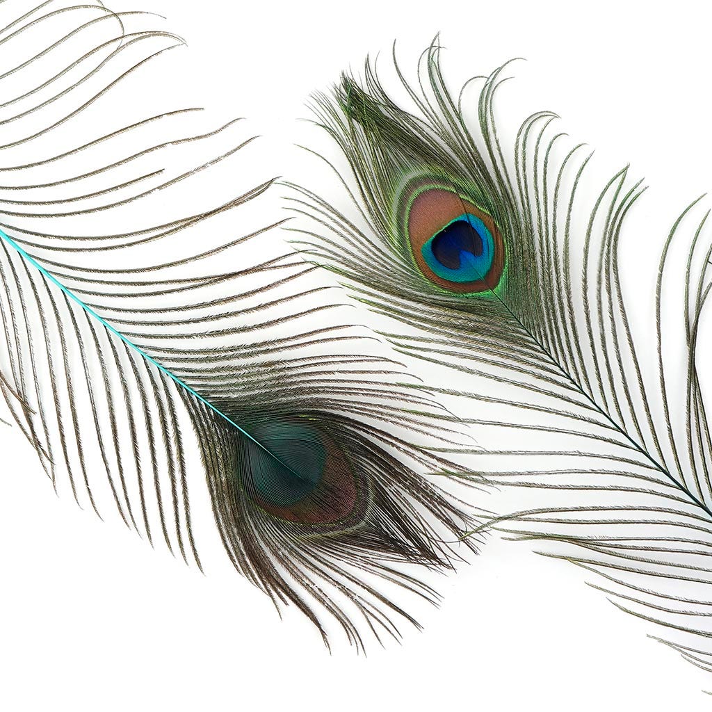 Peacock Tail Eyes Stem Dyed - Light Turquoise - Feathers