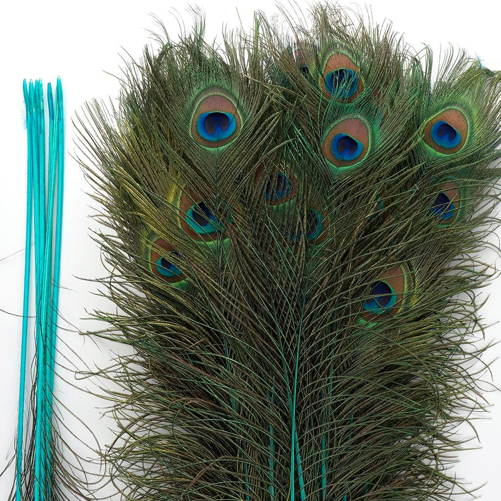 Peacock Tail Eyes Stem Dyed - Light Turquoise - Feathers