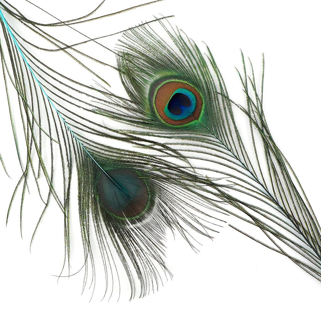 Peacock Tail Eyes Stem Dyed Light Turquoise - Feathers