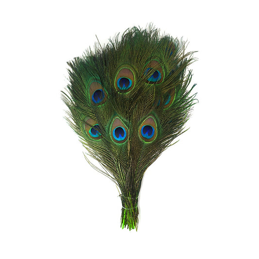 Peacock Tail Eyes Stem Dyed - Lime - Feathers