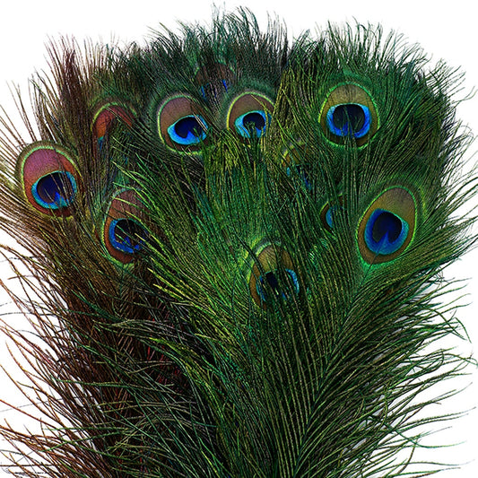 Peacock Tail Eyes Stem Dyed Mix - Jewel Mix - Feathers