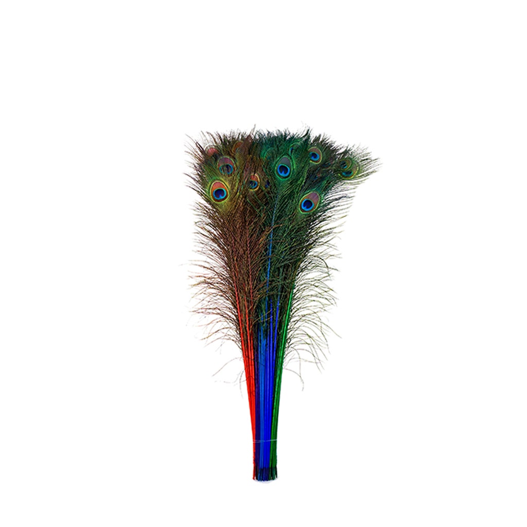 Peacock Tail Eyes Stem Dyed Mix - Jewel Mix - Feathers