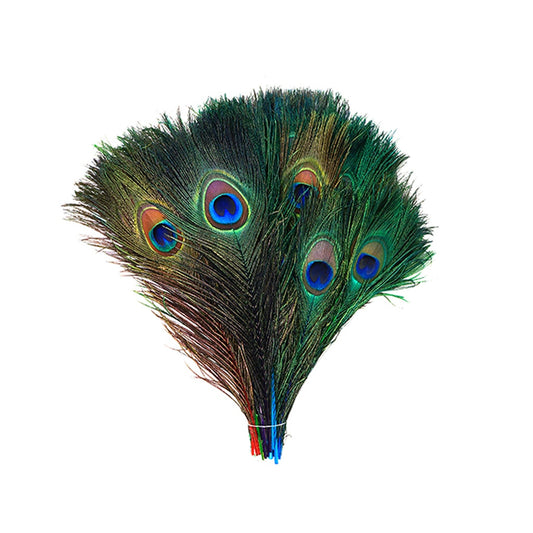 Peacock Tail Eyes Stem Dyed Mix - Jewel Mix - Feathers