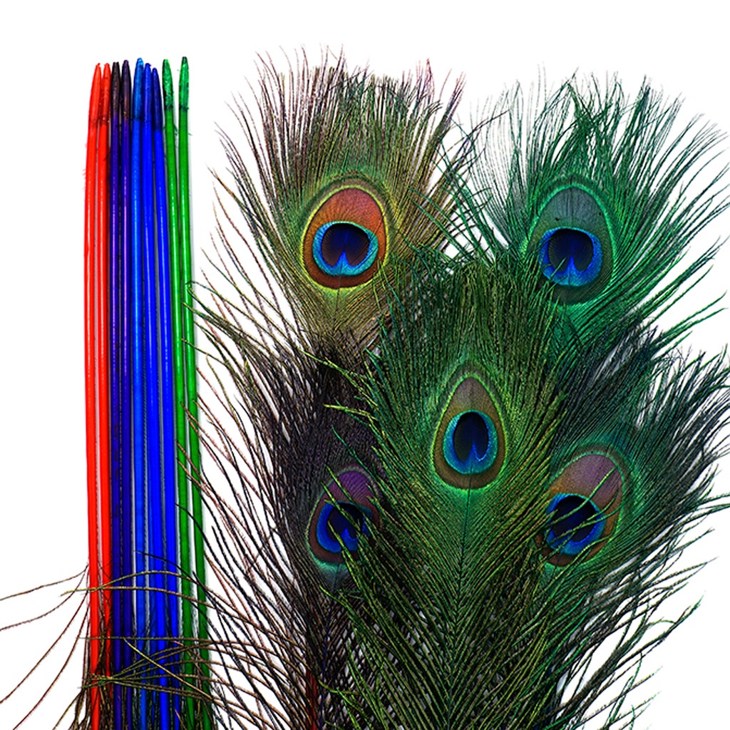 Peacock Tail Eyes Stem Dyed Mix - Jewel Mix - Feathers