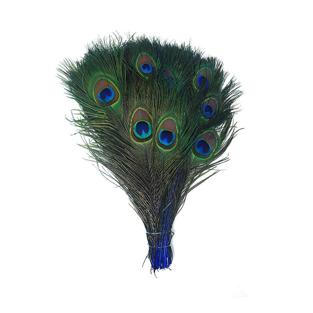 Peacock Tail Eyes Stem Dyed - Royal - Feathers