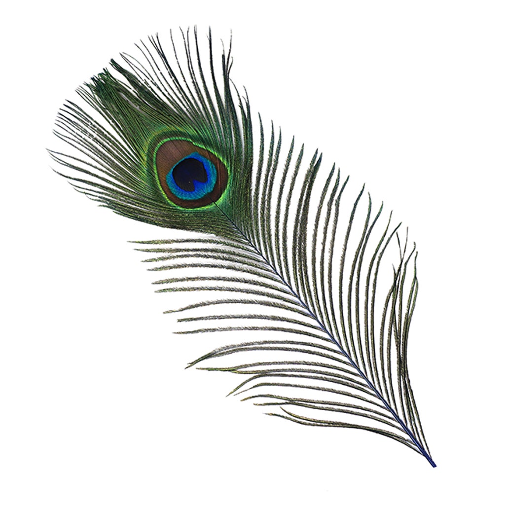 Peacock Tail Eyes Stem Dyed - Royal - Feathers