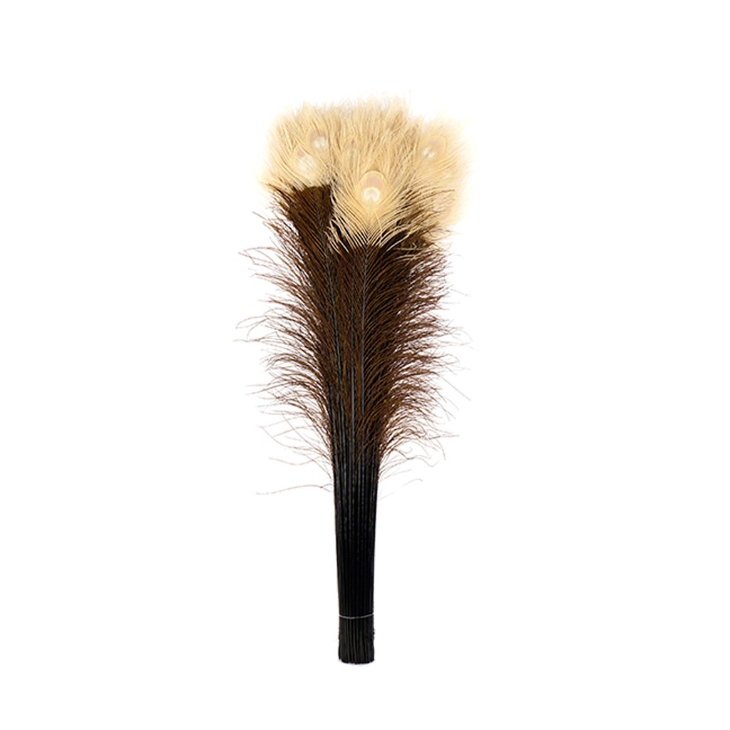 Peacock Tail Eyes Tipped - Brown/Eggshell - 25 -40’’ - Feathers