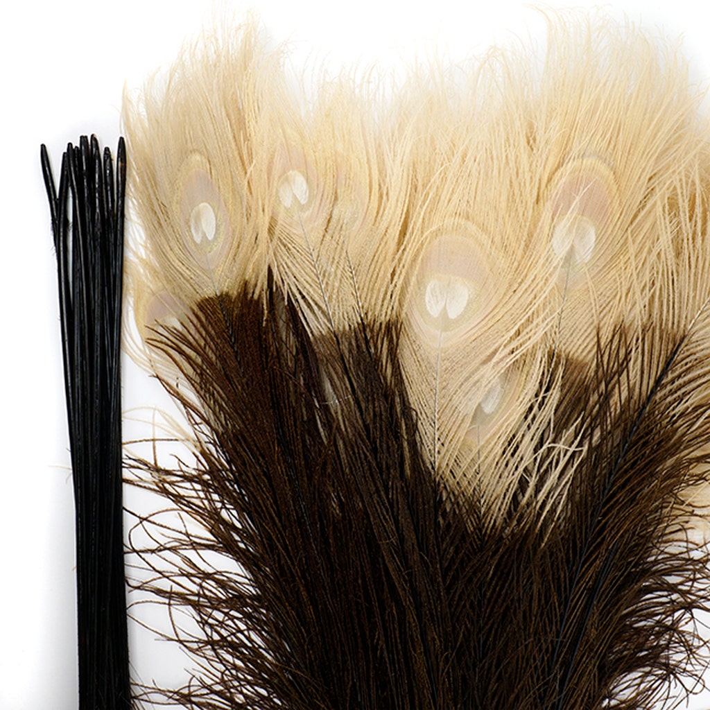 Peacock Tail Eyes Tipped - Brown/Eggshell - 25 -40’’ - Feathers