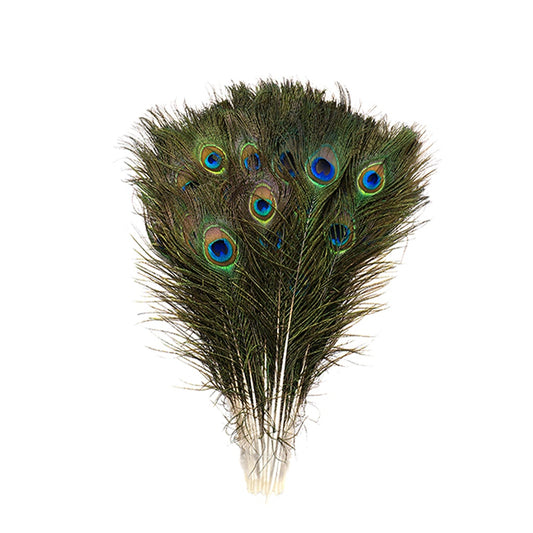 Peacock Tail w/Small Eyes Natural - 8 -15’’ - Feathers