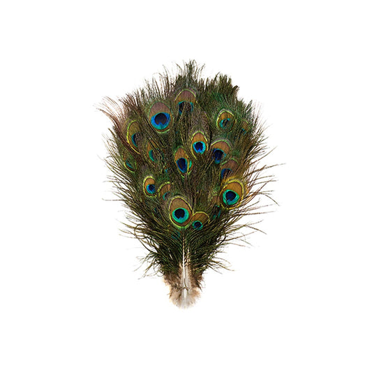 Peacock Tails w/Small Eyes - 4 - 10’’ - Natural - Feathers