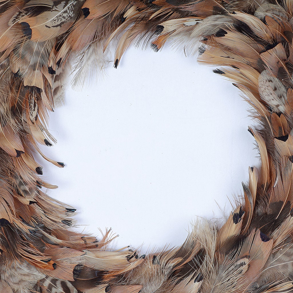 Pheasant Feather Wreath - Natural - Feathers